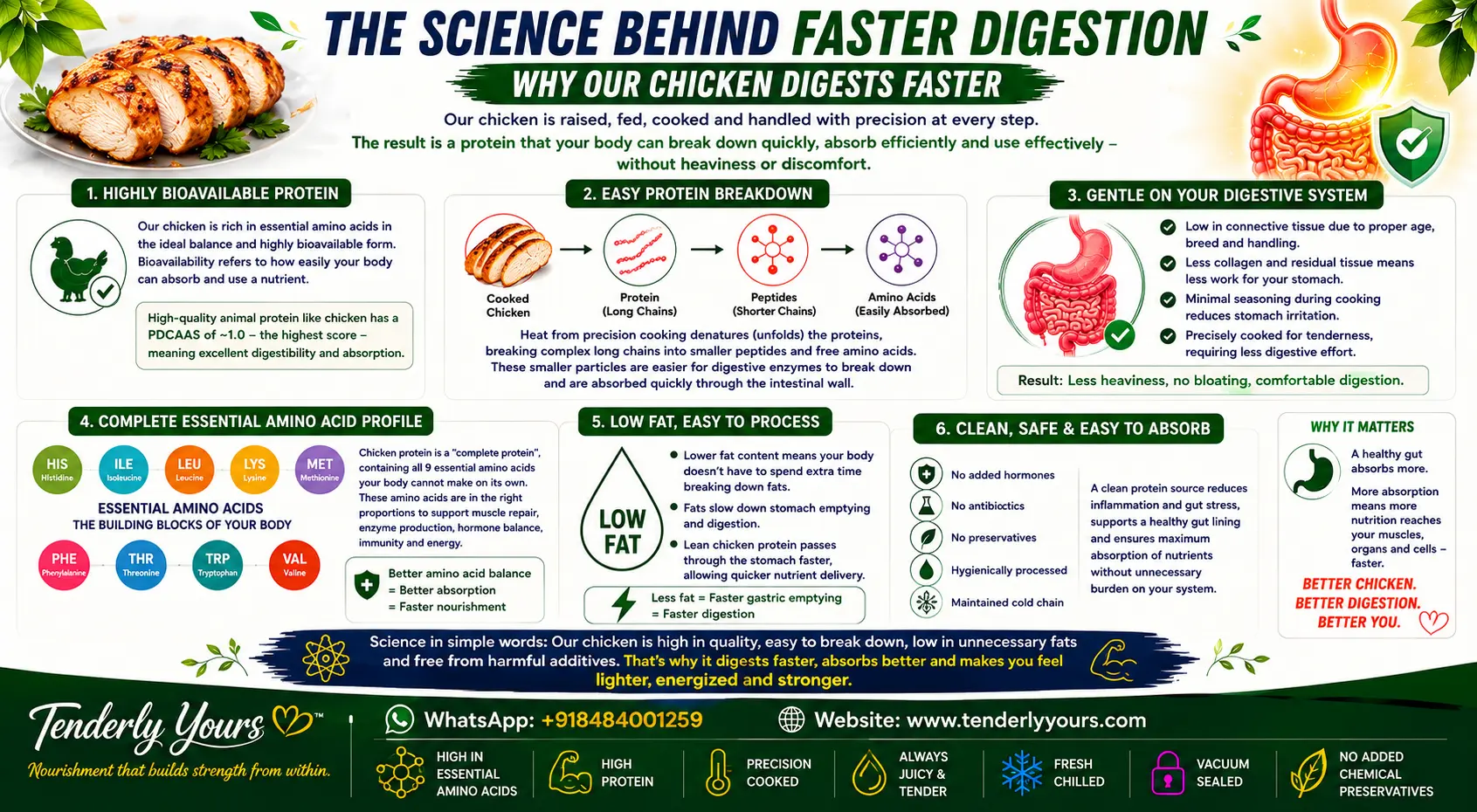 The science behind faster chicken digestion for better nutrient absorption